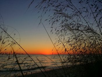 Scenic view of sunset over sea