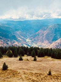 View to the valley and the mountains of the black forest