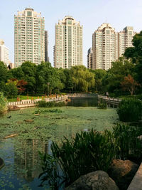 City skyline with river in background