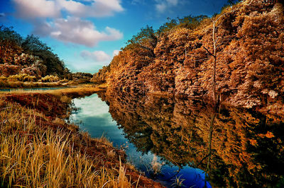 Reflection of trees in lake against sky