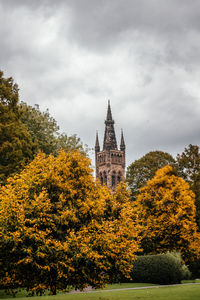 View of trees against sky