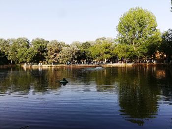 Scenic view of lake