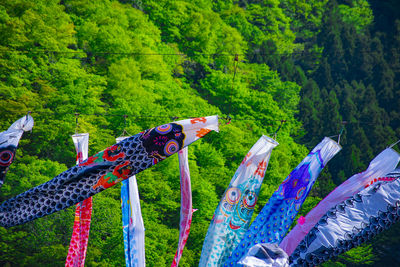 Low angle view of multi colored umbrella