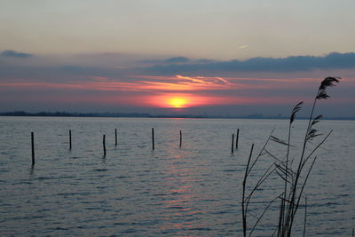 Scenic view of sunset over sea