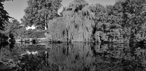 Scenic view of lake against trees