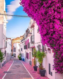 Street amidst buildings against sky