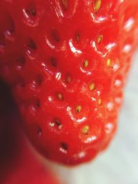 Close-up of red rose