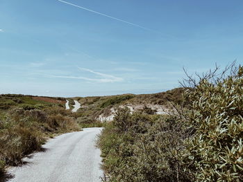 Road amidst plants and trees against sky