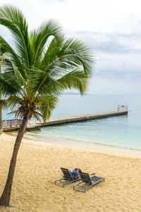 Palm tree on beach against sky