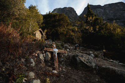 Man standing on rock by trees against mountains