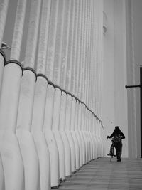 Rear view of woman walking on bicycle