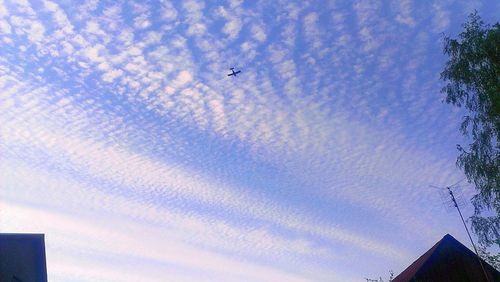 Low angle view of airplane flying against sky