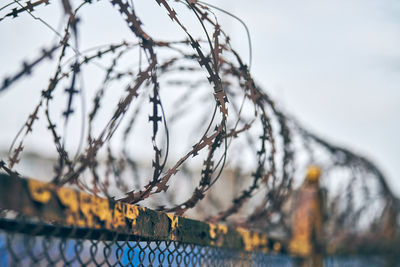 Close-up of barbed wire against sky