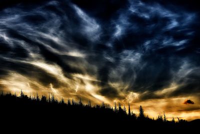 Scenic view of silhouette trees against sky