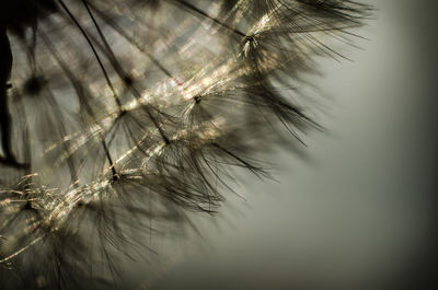 Close-up of water