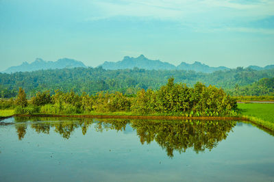 Scenic view of lake against sky