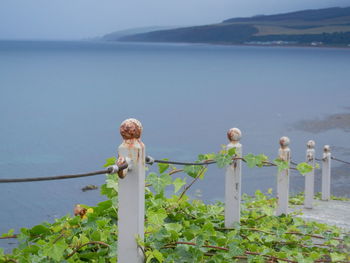 Railing by sea against sky