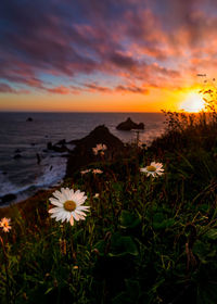 Scenic view of sea against cloudy sky during sunset