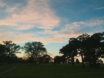 Silhouette trees on landscape against sky