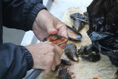 Cropped image of man cleaning clams