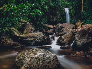 Scenic view of waterfall in forest