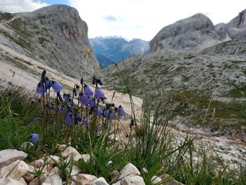 Scenic view of rocky mountains