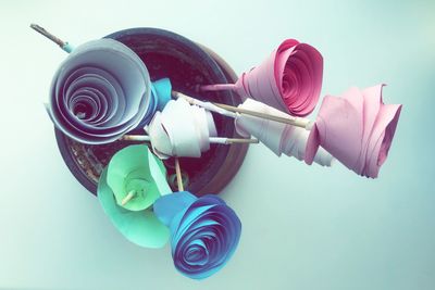 Close-up of multi colored roses against white background