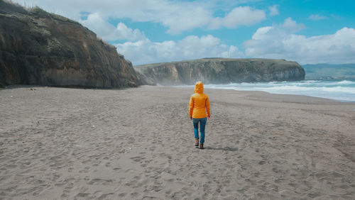 Rear view of man standing on beach against sky