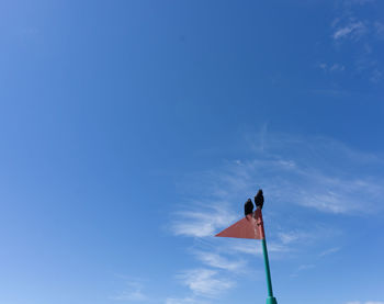 Ravens perching on flag pole against sky on sunny day