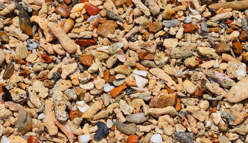 Full frame shot of dry leaves