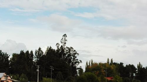 Silhouette trees against sky