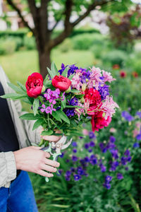 Close-up of hand holding purple flowering plant