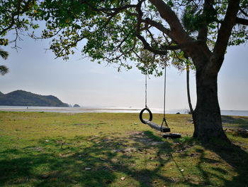 View of swing hanging from tree