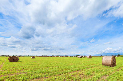 Hay bales on field against sky