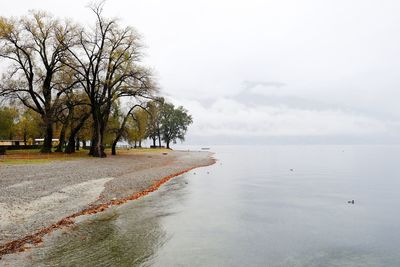 Scenic view of beach against sky during autumn