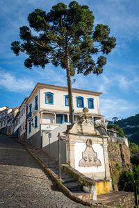 Low angle view of trees and house against sky