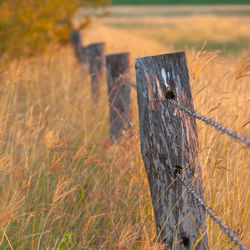 Close-up of wooden fence on field