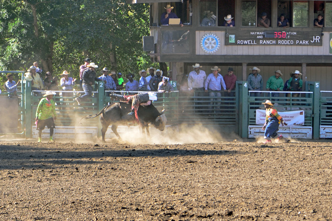 Cowboys on fence