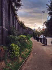 Empty road with trees in background