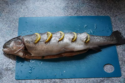 High angle view of fish on cutting board