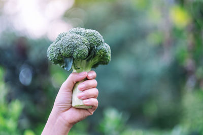 Cropped hand of woman holding broccoli outdoors