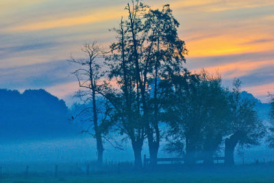 Silhouette trees on field against sky during sunset