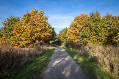 Road amidst trees against sky during autumn