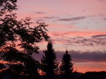 Silhouette of trees against cloudy sky