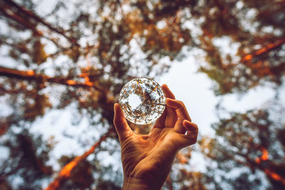 Low angle view of person holding leaf against trees