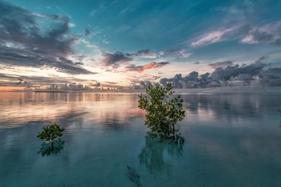 Scenic view of lake against sky during sunset