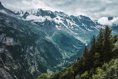 Lauterbrunnen valley, switzerland, jungfrau. swiss alps. mountain view. gorge and green forest.