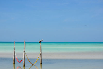 Bird perching on wooden post over sea against sky