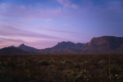 landscape