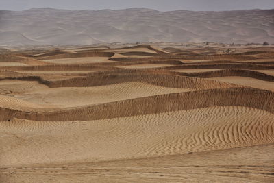 Scenic view of desert